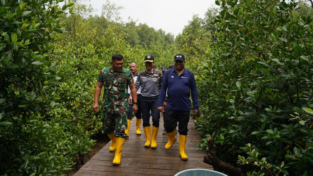 PTBA tanam 50.000 bibit mangrove di kawasan ekowisata Cuku Nyi Nyi. Foto: Dok. PTBA