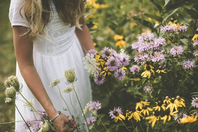 Ilustrasi Feminine Energy. Foto: dok. Unsplash/Samantha Gades