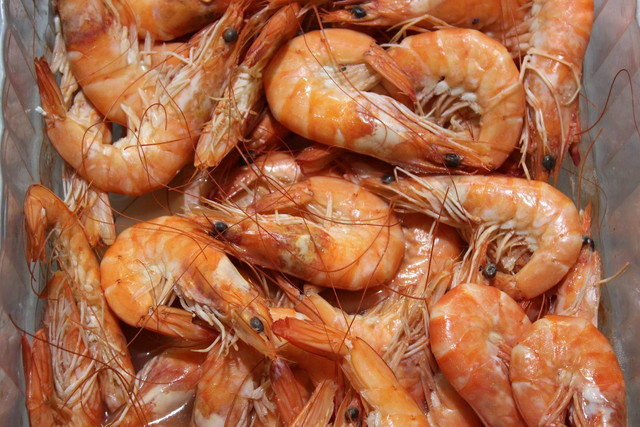 Ilusstrasi udang vaname. Sumber foto: Unsplash