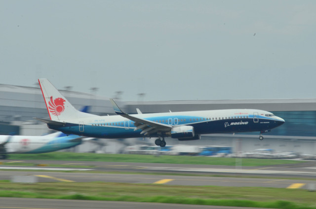 Ilustrasi Cara Check-In Online Lion Air lewat HP. Foto: Unsplash/alvito danendra