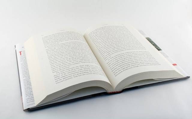 Ilustrai sinonim padahal dan contoh kalimatnya dalam bahasa Indonesia. Foto: Unsplash/Nicolas HIPPERT