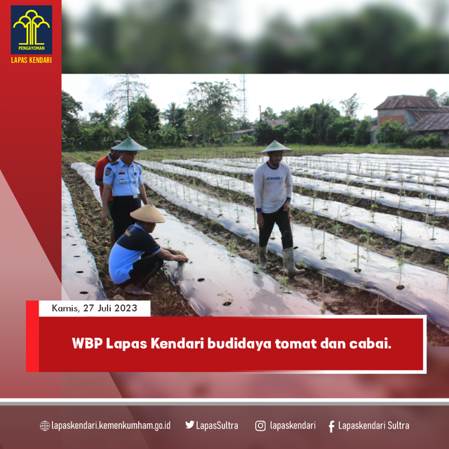 Kegiatan penanaman di lahan pertanian Lapas Kelas IIA Kendari. Foto: Humas Lapas Kendari