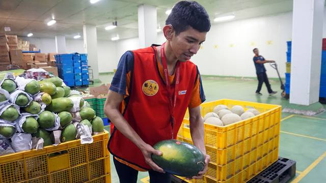Seorang karyawan alfamidi dari program Alfability bekerja di bagian gudang.