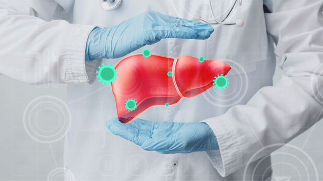 Ilustrasi hepatitis. Source: herminahospitals.com