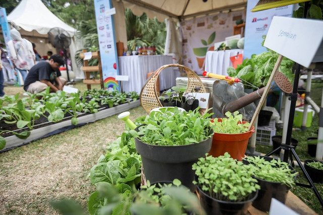 Jakarta Berkebun di Festival Hari Anak kumparan 2023. Foto: Dicky Adam Sidiq/kumparan