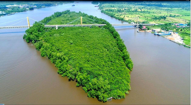 Pulau Bakut di Kalimantan Selatan. Foto: dok. Adaro
