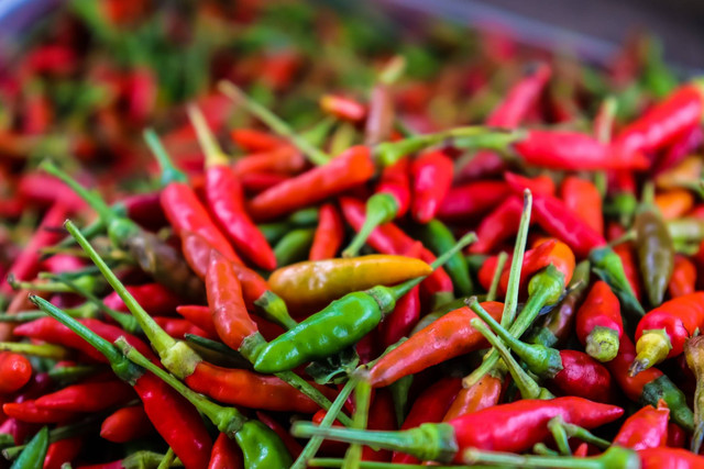 Cabai hiyung. Foto: mang gigit/Shutterstock