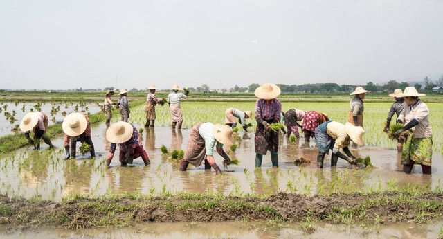 Ilustrasi Ciri-ciri Sistem Ekonomi Tradisional. Foto: Unsplash.com/Alejandro Rugama