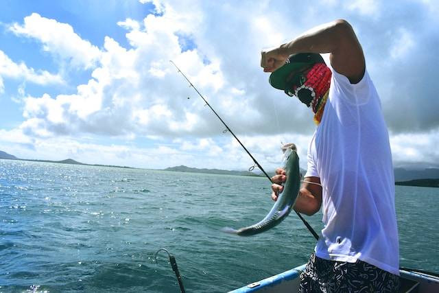 Ilustrasi umpan ikan patin sungai (Gambar: unsplash.com)