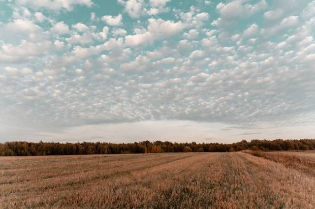 Ilustrasi nama-nama dataran rendah di pulau jawa, sumber foto: Irina Iriser by pexels.com