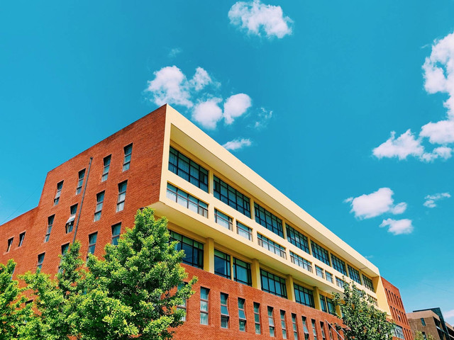 Ilustrasi Nama-Nama Wakil Rektor Universitas Lampung Periode 2023-2027, sumber: unsplash/VLionel