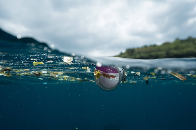 Upaya Mengatasi Sampah di Laut, Foto: 7inchs/Pexels