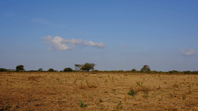 Pesona Taman Nasional Baluran, Jawa Timur. Foto: Rizki Baiquni Pratama/kumparan
