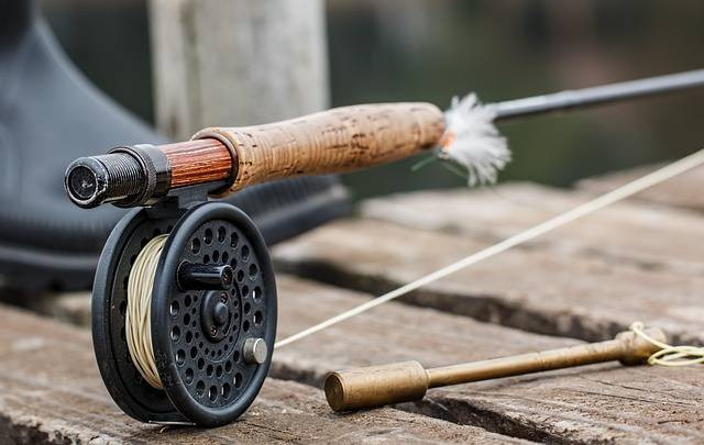 Ilustrasi jenis umpan ikan rawa. Foto: Pixabay