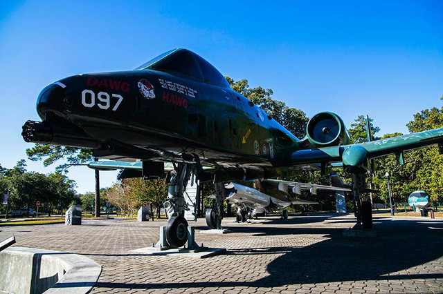 Ilustrasi contoh invasi. Sumber: www.unsplash.com