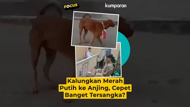 Dok. kumparan.