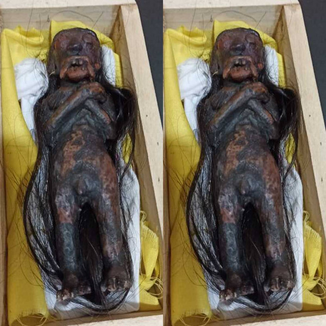 Jenglot yang dijual dengan harga Rp 17 juta. Foto: Dok. Polres Bantul