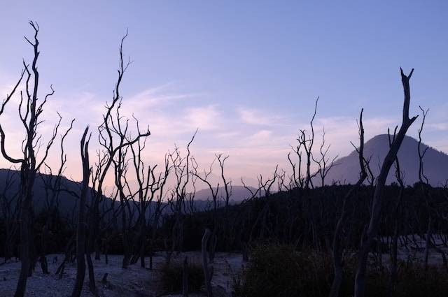 Ilustrasi lokasi yang dapat dikunjungi para pendaki di Gunung Papandayan. Foto: Unsplash/Gery Wibowo