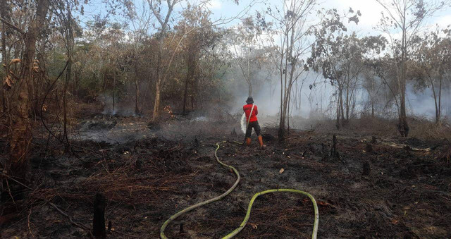 Lahan terbakar di Dusun Sebukit Rama Desa Pasir Mempawah. Foto: Dok. Istimewa