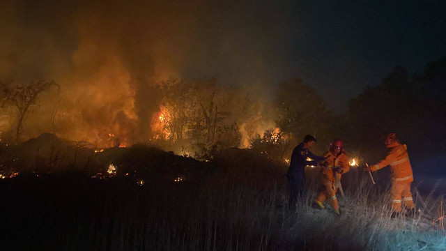 Sebuah lahan kosong di Bandar Lampung terbakar pada Minggu (20/8) malam. | Foto : Dok. Dinas Pemadam Kebakaran dan Penyelamatan Kota Bandar Lampung.