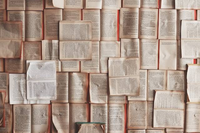 Ilustrasi pronomina penunjuk, sumber foto: unsplash.com/Patrick Tomasso