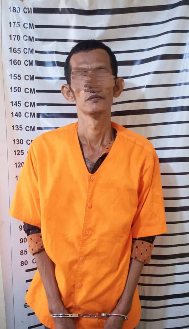 PS, pria yang merampok IRT saat tidur di Kecamatan Babalan, Kabupaten Langkat, Sumut. Foto: Polres Langkat