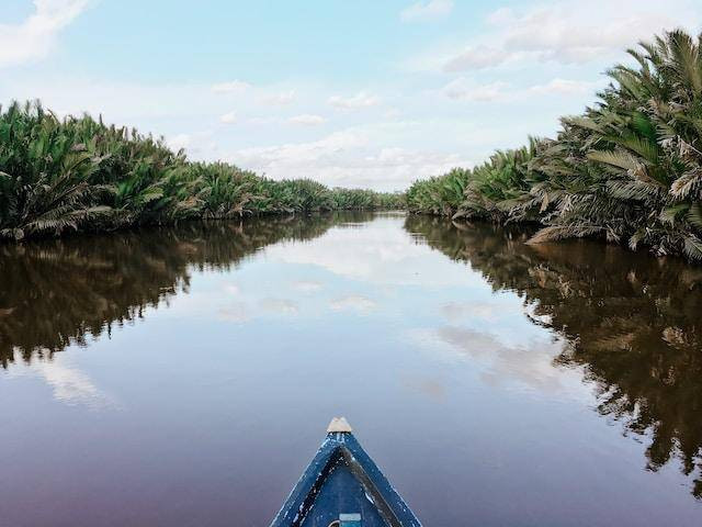 Ilustrasi sungai terpanjang di Kalimantan. Sumber foto: Unsplash