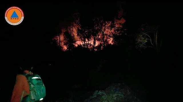 Ilustrasi kebakaran di Gunung Ciremai Foto: BPBD Kuningan