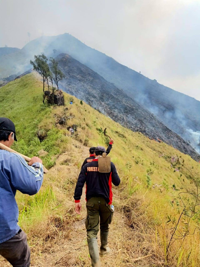 Hutan di Gunung Arjuno wilayah Kecamatan Singosari, Kabupaten Malang, Jawa Timur terbakar Foto: BPBD Kabupaten Malang
