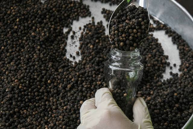 Ilustrasi lada hitam. | Foto: Fakhri Hermansyah/Antara Foto