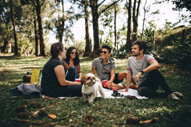 Ilustrasi friendly artinya dalam percintaan, sumber foto: Helena Lopes by pexels.com