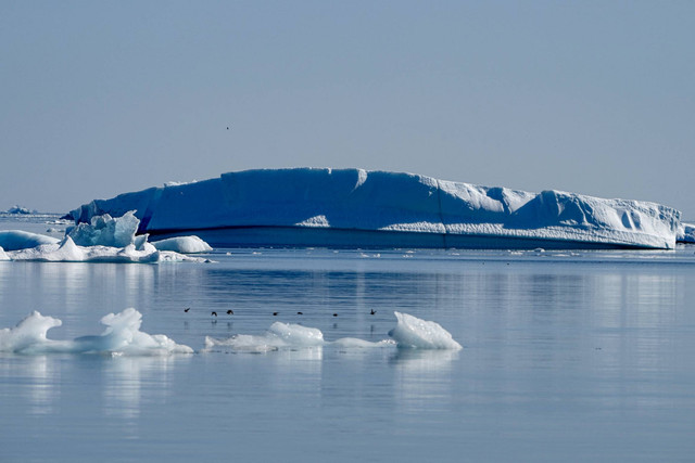 Foto yang diambil pada 16 Agustus 2023 ini menunjukkan gunung es, yang panjangnya kira-kira beberapa ratus meter, melayang di sepanjang Scoresby Sound Fjord, di Greenland Timur. Foto: Olivier Morin/AFP
