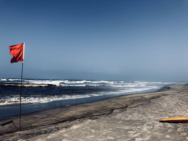 Ilustrasi Istilah Red Flag Tiktok. Sumber: Unsplash