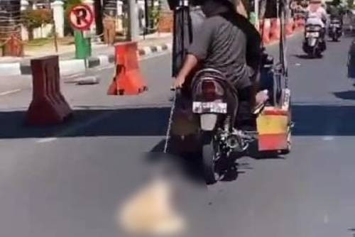 Seekor anjing diseret pengendara bentor di Makassar. Foto: Dok. Istimewa