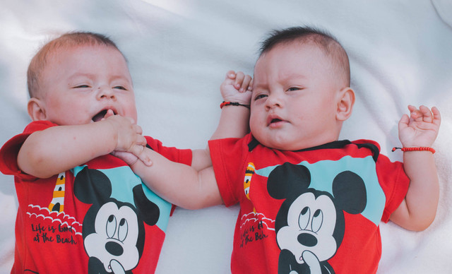 Ilustrasi twins. Foto: Pexels.com