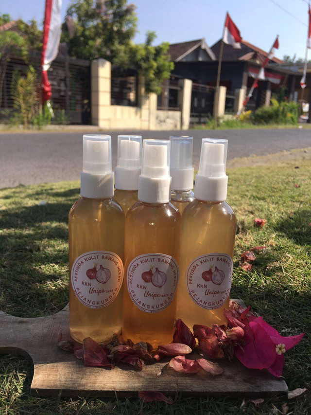 Pestisida Nabati Kulit Bawang Merah Aroma Kayu Manis