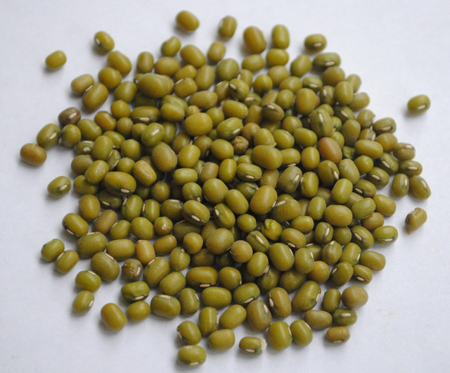 Ilustrasi Cara Membuat Bubur Kacang Hijau yang Enak dan Empuk, Foto: Unsplash/David Gabrielyan