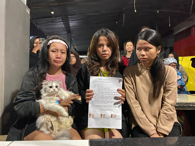 Clow, kucing yang dicekoki soju, bersama 3 pelaku yang mencekokinya. Foto: kumparan