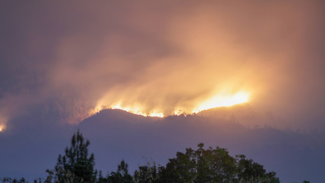 Api membakar hutan dan lahan (karhutla) kawasan Gunung Arjuno terlihat di Prigen, Pasuruan, Jawa Timur, Selasa (5/9/2023). Foto: ANTARA FOTO/Umarul Faruq