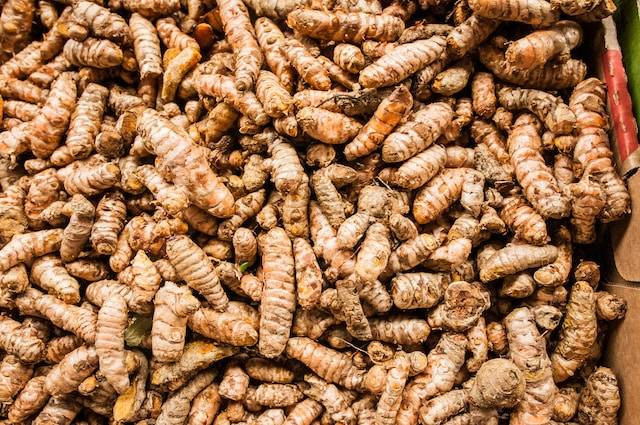 Ilustrasi cara menanam kunyit di polybag, sumber foto: unsplash.com/Dyah Miller