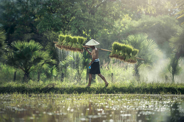Sumber Gambar: Pexels
