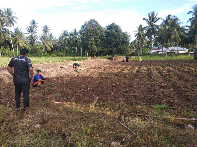 Curah Hujan Mulai Tinggi, Lapas Boalemo Mulai Tanami Lahan Produktif
