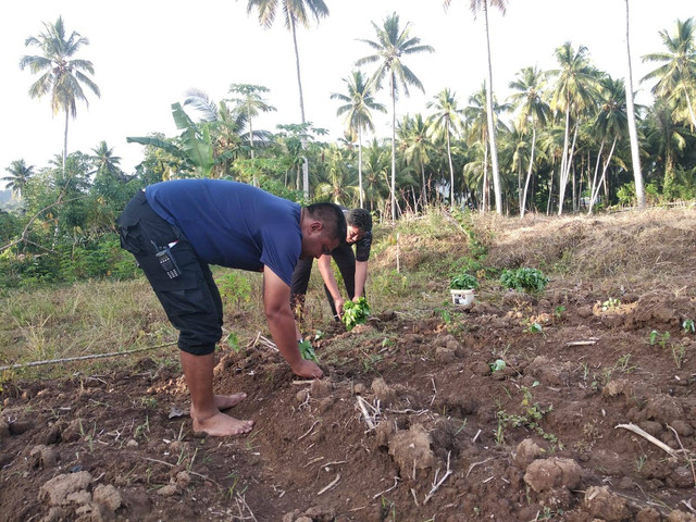 Curah Hujan Mulai Tinggi, Lapas Boalemo Mulai Tanami Lahan Produktif (1)