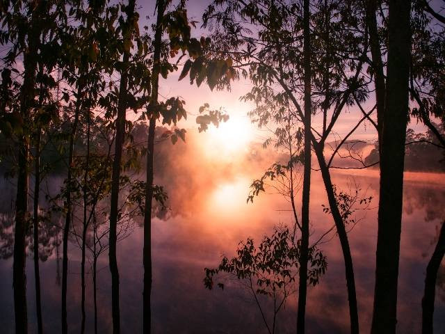 Ilustrasi tempat wisata di Jambi. Sumber: Unsplash/ Fajruddin Mudzakkir. 