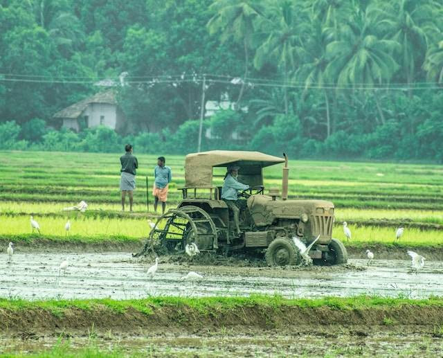 Ilustrasi Apa yang Dimaksud dengan Traktor Tangan. Foto: dok. Unsplash/aboodi vesakaran