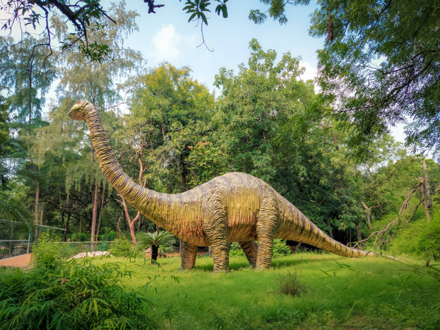 Cara ke Papa Dino Bandung, foto hanya ilustrasi: Unsplash/Vaibhav Pixels