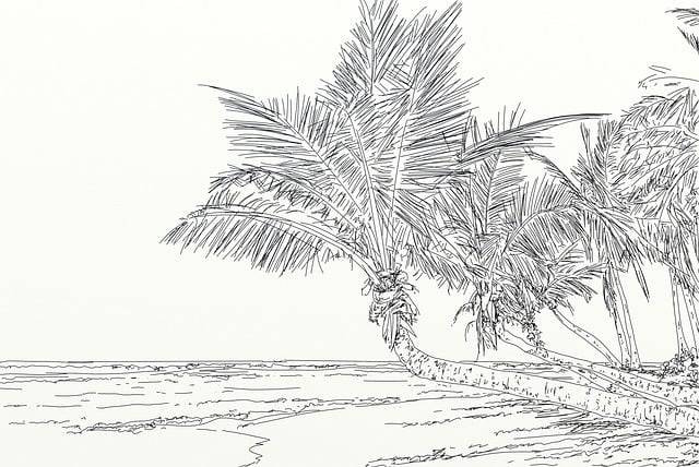 Ilustrasi alat dan bahan sketsa. Foto: Pixabay.