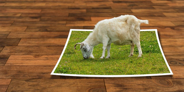 Ilustrasi proyeksi perspektif adalah - Sumber: pixabay.com/realworkhard