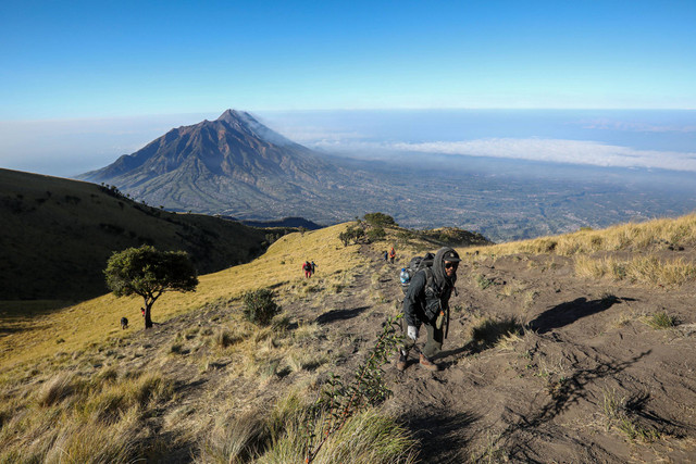 Pendaki melintasi sabana gunung Merbabu via Suwanting, Minggu (10/9/2023). Foto: Aditia Noviansyah/kumparan