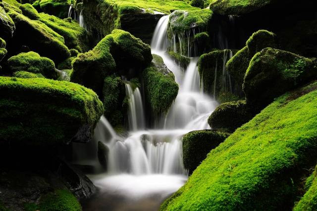 Ilustrasi cara membuat air terjun aquascape. Foto: Pixabay
